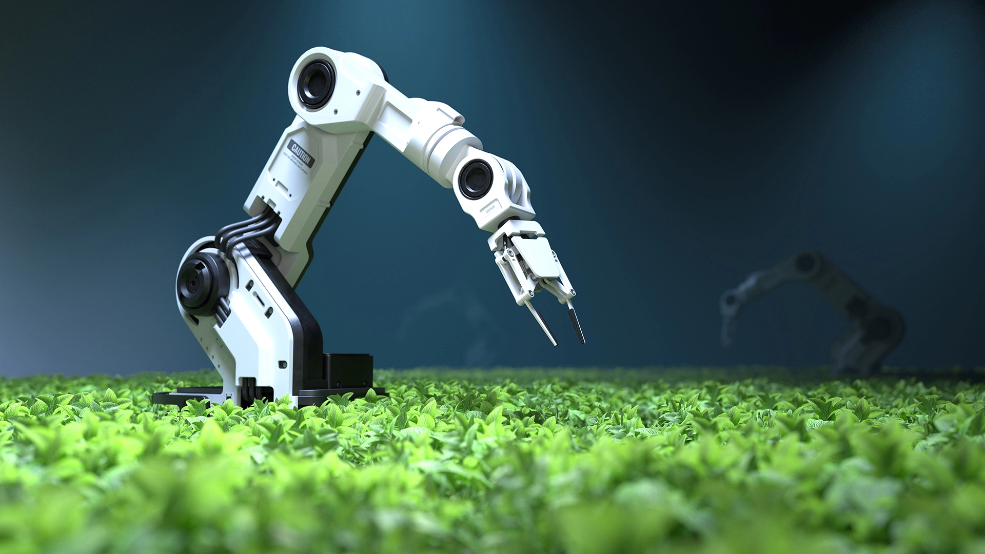Robot yang “Merasa” dengan Suara Bisa Membantu Pekerjaan di Pertanian